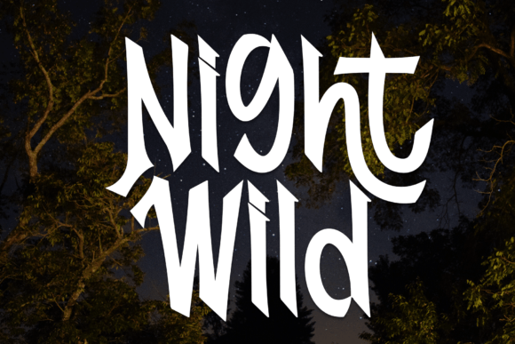 Night Wild: A Handwritten Typeface for Warm Editorial Design
