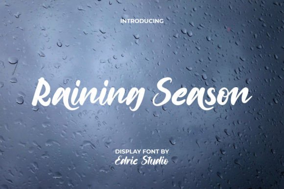 Raining Season Font: A Modern Script for Small Business Branding