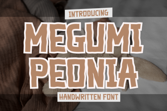 Why Megumi Peonia Is the Perfect Font for Your Brand